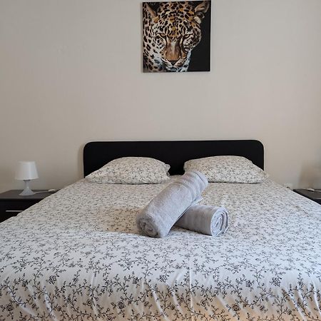Le Mirage - Appartement 2 Chambres, Salon, Cuisine Equipee, Parking Et Wifi Gratuit Mulhouse Exterior foto